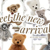 2026 Charlie Bears Have Arrived at Plush Teddies