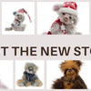 New Charlie Bears Have Arrived at Plush Teddies – Including Limited Mohair Editions