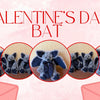 Why a Bat is Became One of the Most Unique Valentine’s Day Gifts This Year
