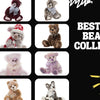 Best Teddy Bears for Collectors (2026 Guide)