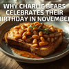 Why Charlie Bears Celebrate Their Birthday in November