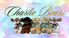 Where to Buy Charlie Bears in the USA (2026 Guide)