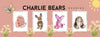 Hanami, Scallopini, Sweet Tooth and Hunny Bunny