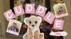 Charlie Bears Cuddle Cubs: Everything You Need to Know Before Buying
