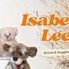 Why Isabelle Lee Charlie Bears Are Becoming Harder to Find