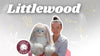 Littlewood Blog Post Image