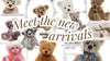 2026 Charlie Bears Have Arrived at Plush Teddies