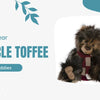 Retired Charlie Bears: What They Are and Why Collectors Love Them