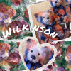 Meet Wilkinson: A Colorful Charlie Bears Teddy Bear Full of Personality