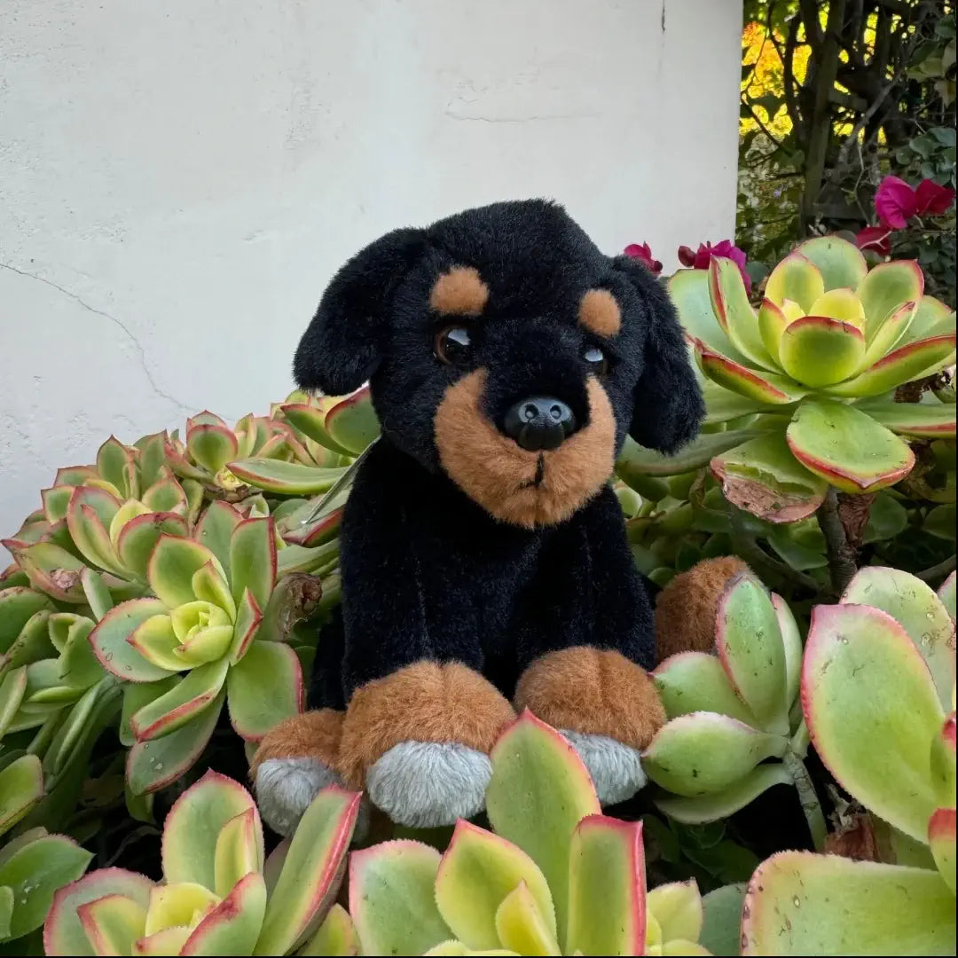 Rottweiler stuffed toy shop
